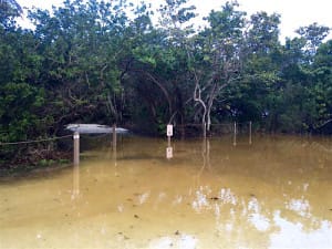 Lighthouse Beach Flooding 3, 1-17-16.
