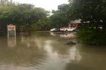 Periwinkle Way, 1-15-16, Courtesy Of City Of Sanibel.