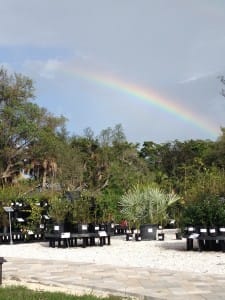 SCCF Sanibel Farmers Market, Thursdays At SCCF's Native Landscapes & Garden Center: 1300 Periwinkle Way, Sanibel.