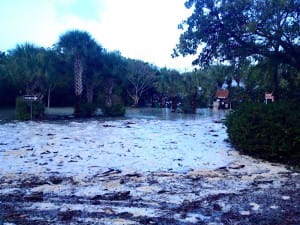 Sanibel Island Flooding, 1-17-16.