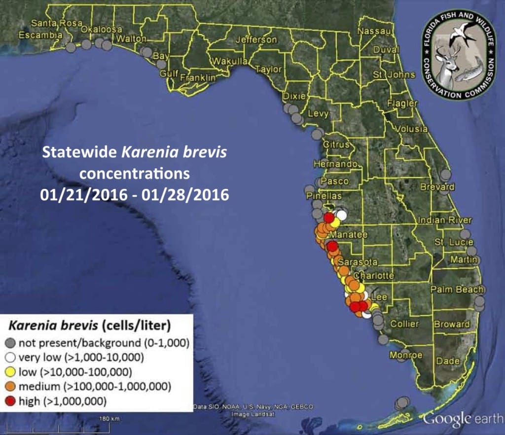 Florida Red Tide Status Map, 1-29-16, Courtesy Of FWC, Florida Red Tide Report.