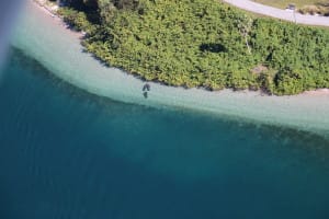 FWC 2016 Manatee Aerial Survey. FWC photo taken by Amber Howell in Palm Beach, FL. Activities were conducted under the USFWS permit #MA773494, Via Creative Commons.
