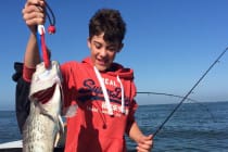 Sanibel Fishing, Grouper, 2-5-2016.