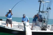 Captain Jimmy Burnsed, Huge Tarpon, Boca Grande Pass, 2011, Catch & Release.