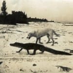 Sanibel Before The Causeway Documentary