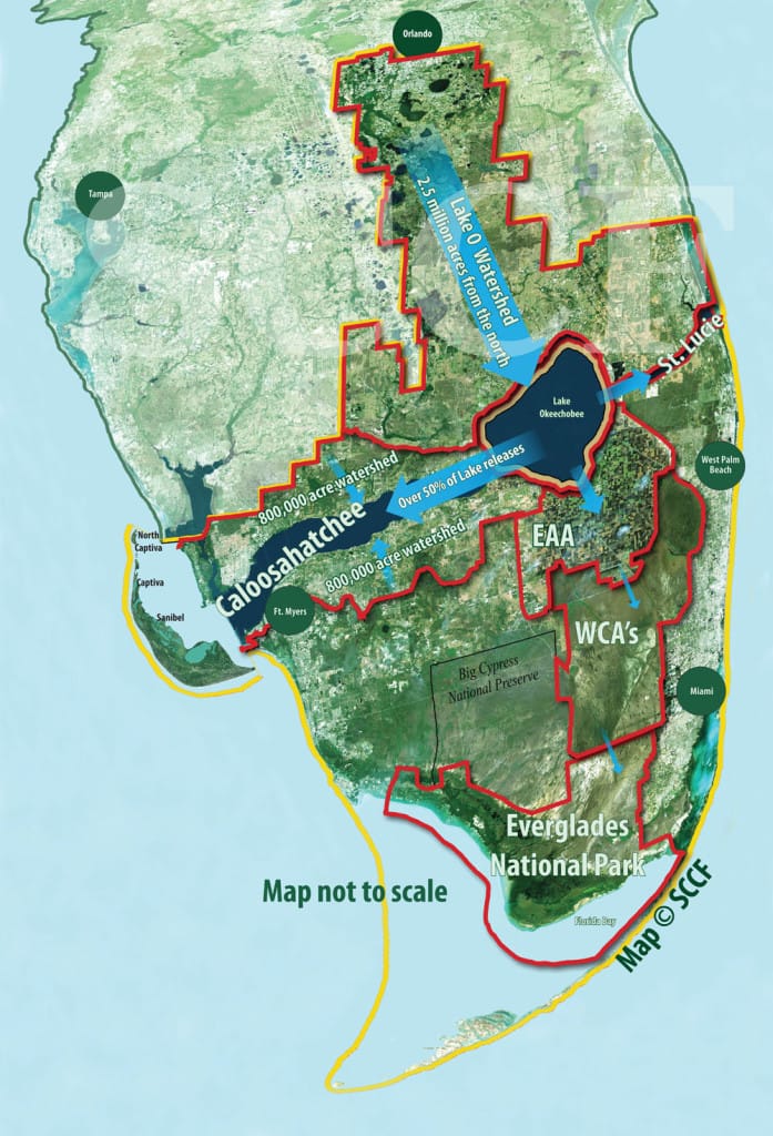 Lake Okeechobee & Florida Everglades Water System, Courtesy Of SCCF.