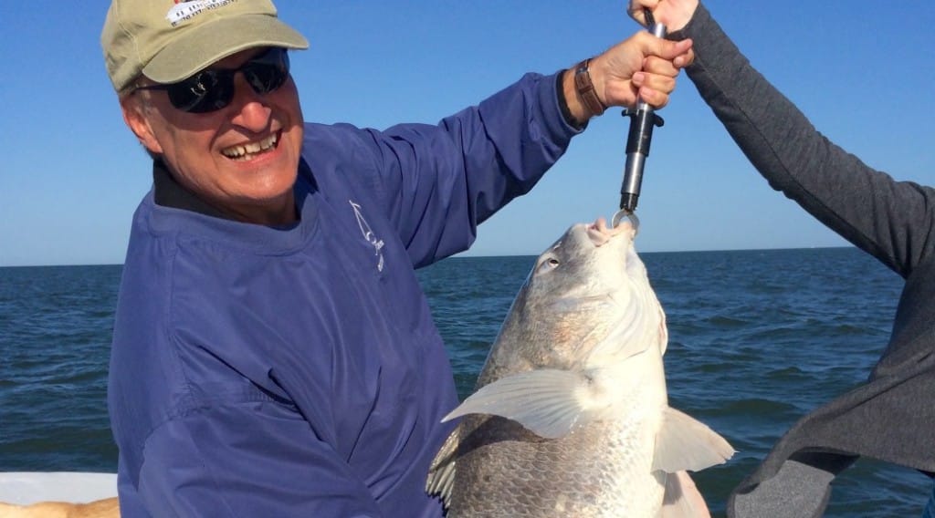 Sanibel Fishing, Black Drum, 2-19-16.