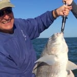 Sanibel Fishing – Catch & Release Of The Day