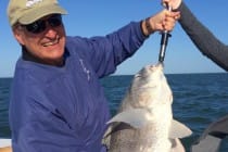 Sanibel Fishing, Black Drum, 2-19-16.