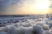 Sea Foam, Photo Credit Kati Conrad, Via Creative Commons.