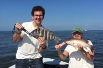 Sanibel Fishing, Sheepshead & Snapper, 2-4-2016.