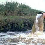 Sanibel Mayor Issues Call To Action: Contact Army Corp Of Engineers