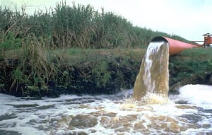 Sanibel Red Tide, Sierra Club Opposes Back Pumping Into Lake Okeechobee. Photo Courtesy Of Sierra Club.