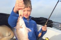 Sanibel Fishing, Snapper, 2-1-2016.