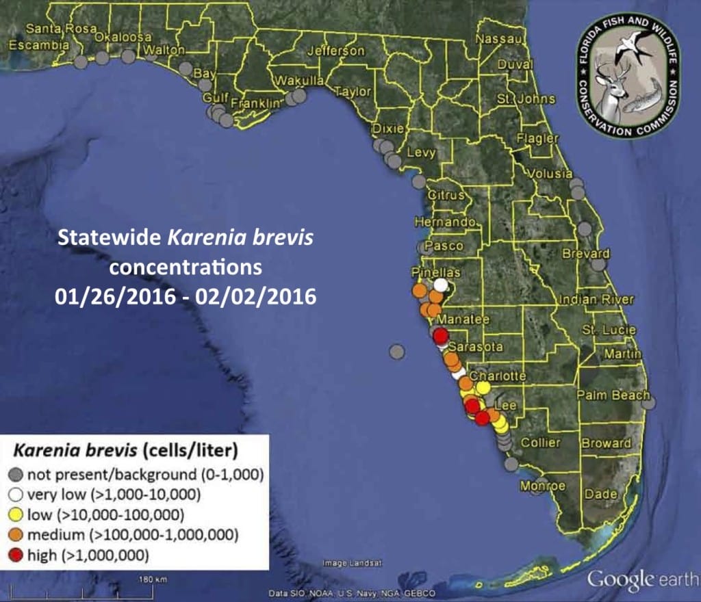Sanibel, Florida Red Tide Status Map, 2-5-16, Courtesy Of FWC, Florida Red Tide Report.