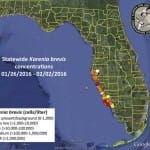 Sanibel Red Tide Update