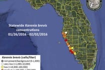 Sanibel, Florida Red Tide Status Map, 2-5-16, Courtesy Of FWC, Florida Red Tide Report.