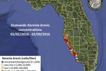 Sanibel, Florida Red Tide Status Map, 2-10-16, Courtesy Of FWC, Florida Red Tide Report.