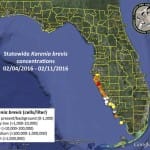 Sanibel Red Tide Update