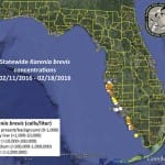 Sanibel Red Tide Update