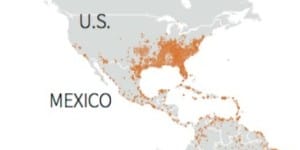 Zika Virus Not Expected To Impact Sanibel, Florida. Map Of Where The Aedes Aegypti And Another Virus-Carrying Mosquito, Aedes Albopictus, Live. Sources: US Centers For Disease Control & Prevention, Reuters and Business Insider, 2-4-16.