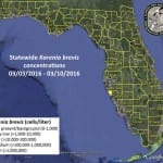 Red Tide Status Report