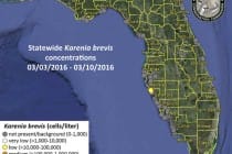 Sanibel, Florida Red Tide Status Map, 3-11-16, Courtesy Of FWC, Florida Red Tide Report.