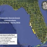 Red Tide Status