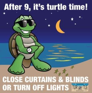 Turtle Nesting Season Begins May 1st.