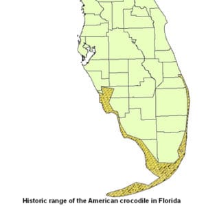 Historical Crocodile Distribution, Florida, Courtesy Of FWC.