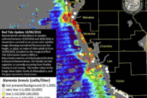 Sanibel Island, Florida Red Tide Status Map, 10-7-16, Courtesy Of FWC, Florida Red Tide Report.