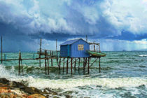 Captiva Community Panel Sea Level Rise Symposium Friday, January 13, From 1 To 5 p.m. Photo Courtesy Of Romano Pampana, Creative Commons.