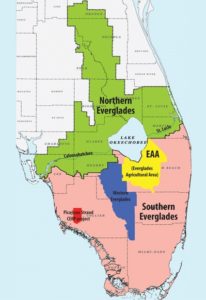 Senate Bill 10 (SB 10), Water Resources, authorizes bonding a portion of proceeds from the Land Acquisition Trust Fund (set aside by Amendment 1 in 2014) to purchase land to construct a reservoir south of Lake Okeechobee. Image courtesy of SCCF.