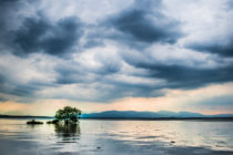 Captiva Community Panel Sea Level Rise Symposium Friday, January 13, From 1 To 5 p.m. Photo Courtesy Of Jakob Lawitzki, Creative Commons.