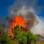 2017 City Of Sanibel Prescribed Burns