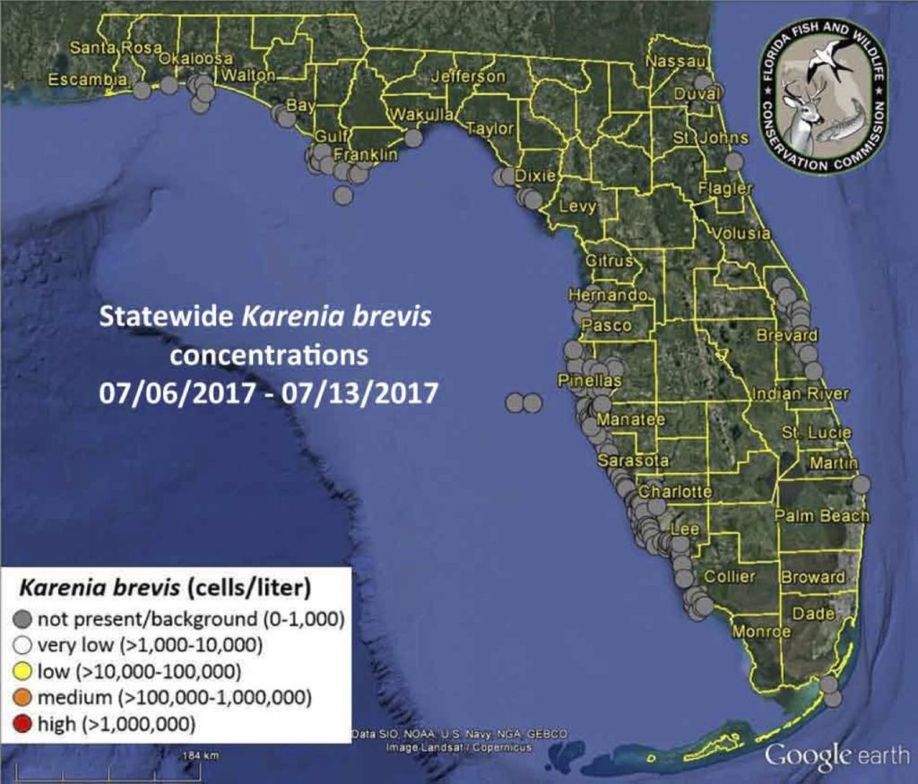Sanibel Red Tide Report, July 14:  No Red Tide. Minimal trace presence of the Florida red tide organism at background concentrations in Southwest Florida.