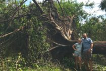 Hurricane Irma, Sanibel & Captiva Islands Cleanup, September 18, 2017.
